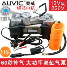 汽车打气泵多少v